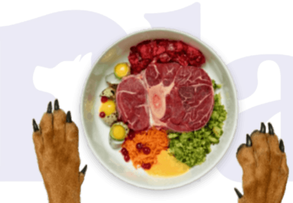 Alimentação natural