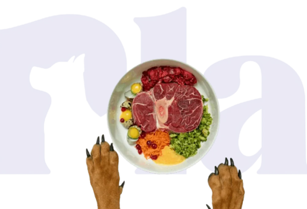 Alimentação natural