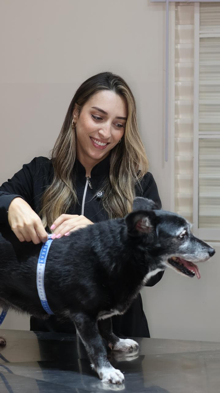 Isabelle avaliando a condição corporal de um cão
