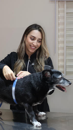 Isabelle avaliando a condição corporal de um cão