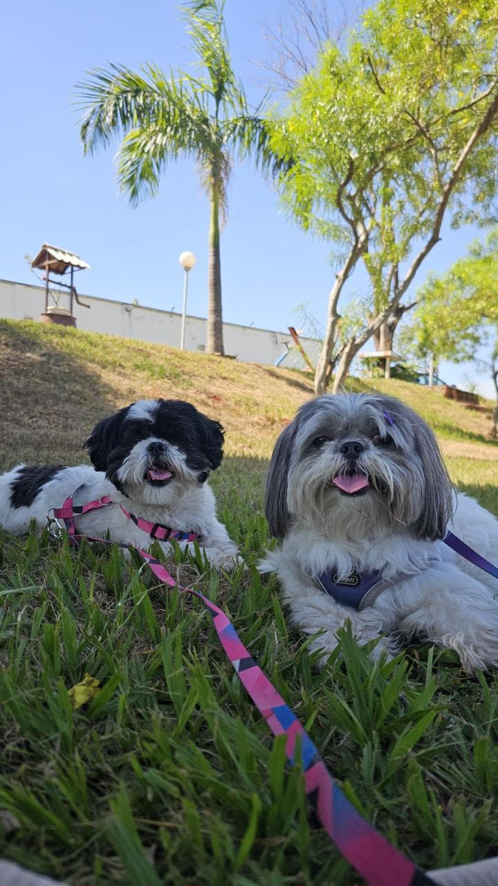 Chica e Lola